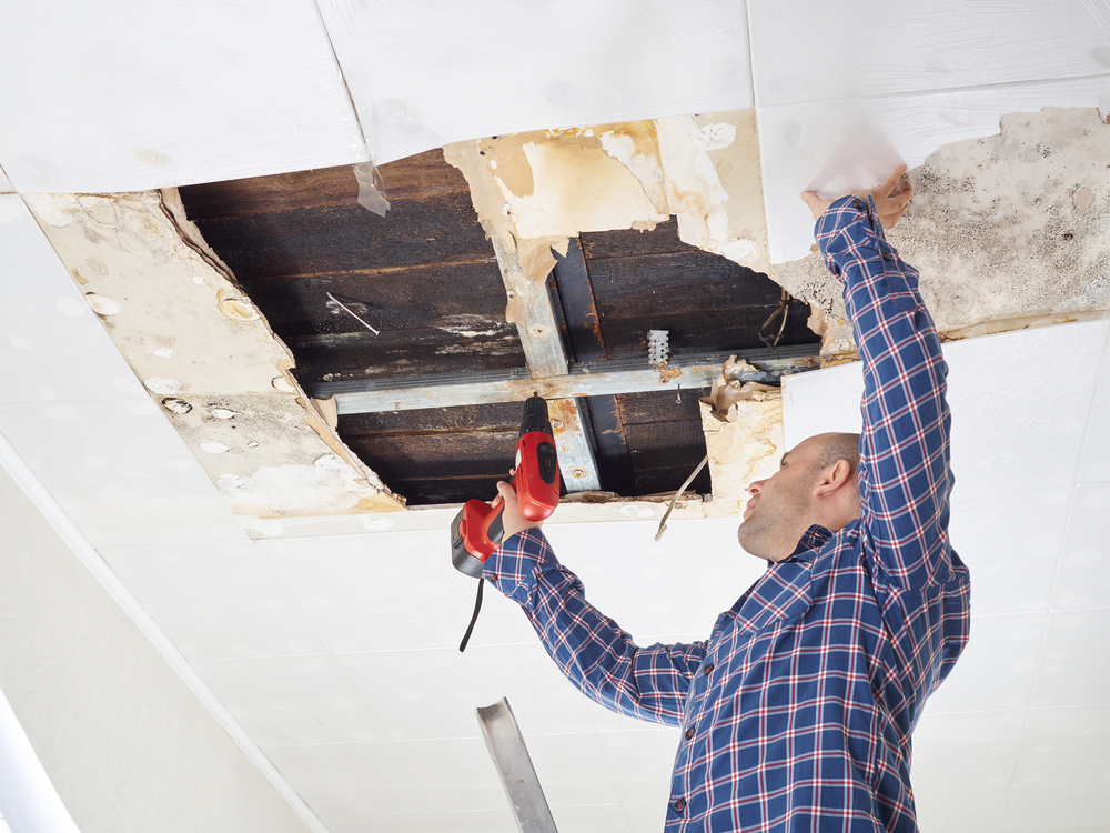 Visible damp patches or water stains on ceilings, walls or floors