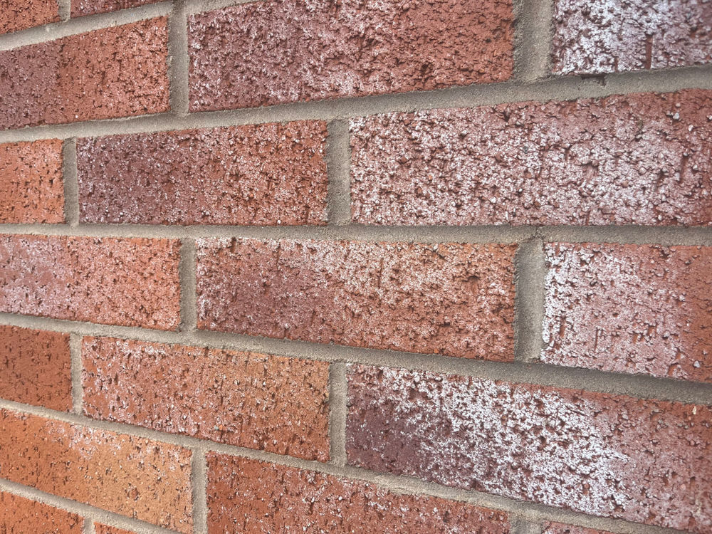 Efflorescence (white salt deposits) on masonry surfaces