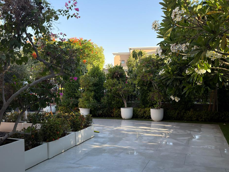 painting-service-gallery