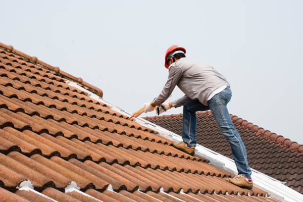 Water Proofing